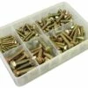 FROST Metric (M5 To M10) Set Screw Assortment 2 FROST Metric (M5 To M10) Set Screw Assortment -Professional Tools Sales 2024 t009 set screws